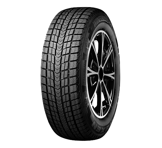 image WINGUARD ice SUV